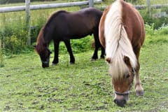 Mummon tallipäivä -perhepaketti