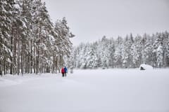 Pariskunta kävelee talvista polkua pitkin.