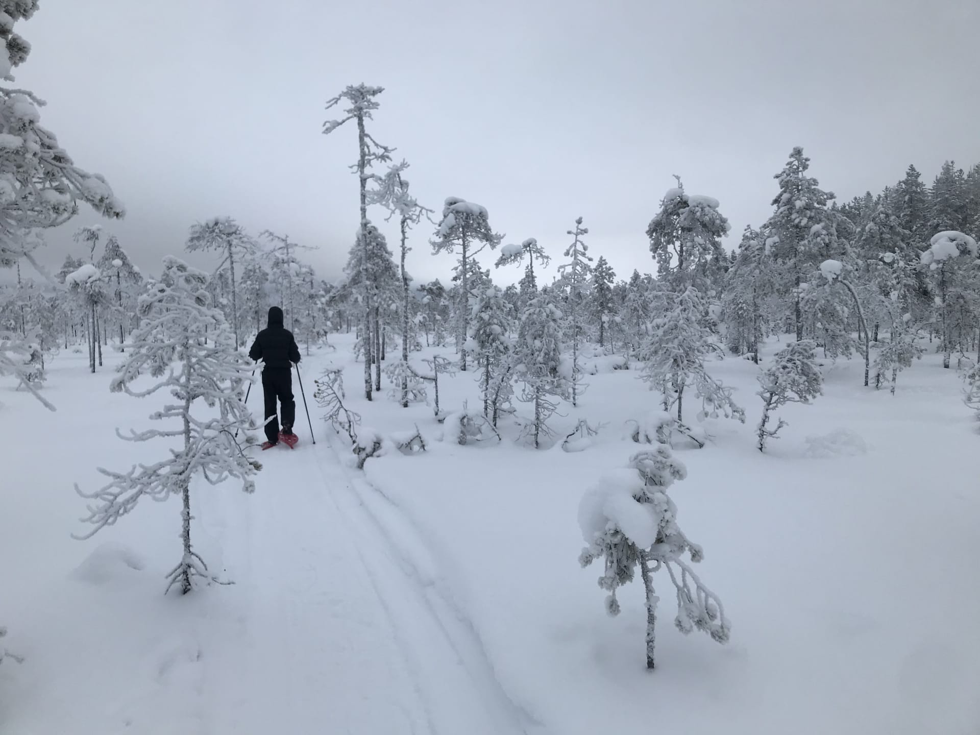Christmas in Finland