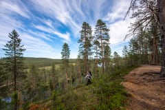 Syötteen patikointireitit
