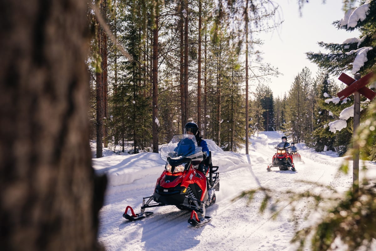 Snowmobile Ride into the Wild