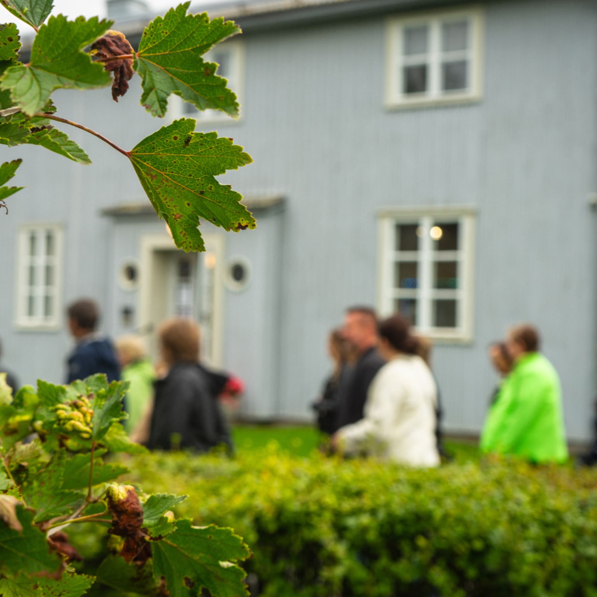 Opastettu Alajärven Aalto-kierros