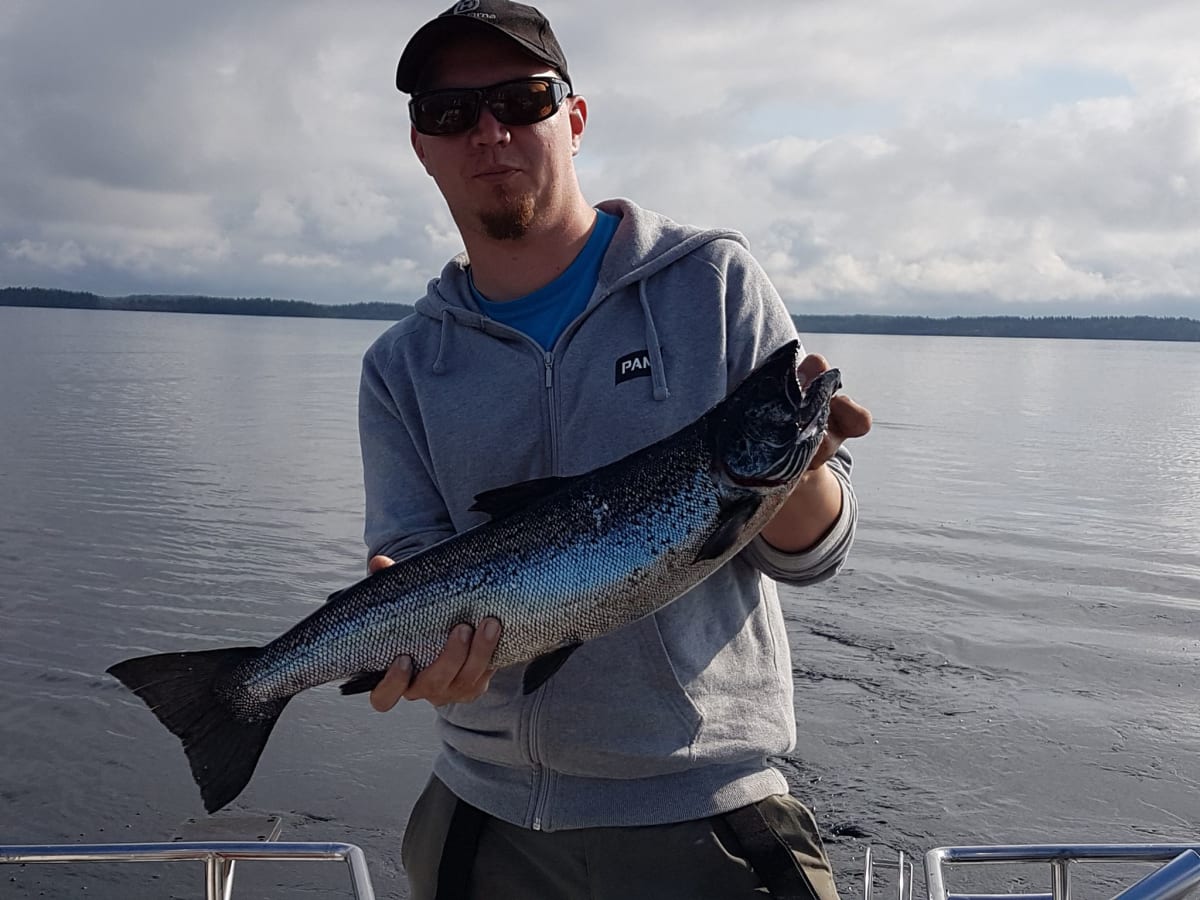 Quided fishing trips in Hirvensalmi, lake Puula