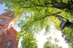 Savonlinna Cathedral in summer sunlight and a miniature cathedral birdhouse on a tree