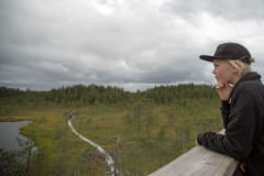 Leivonmäen kansallispuisto