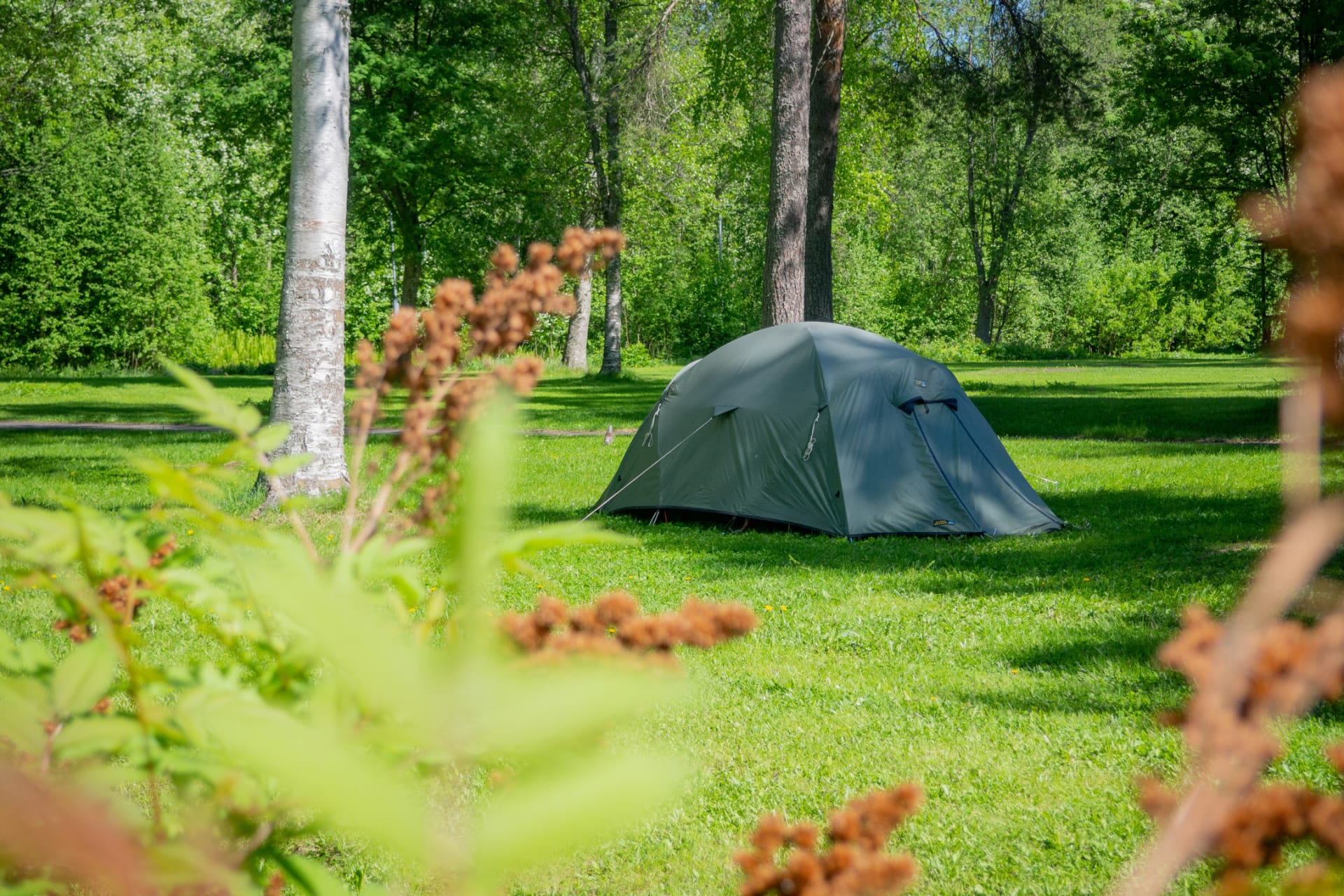 Nallikari Holiday Village green tent site