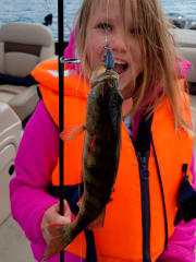 Getting the first catch is a great joy!