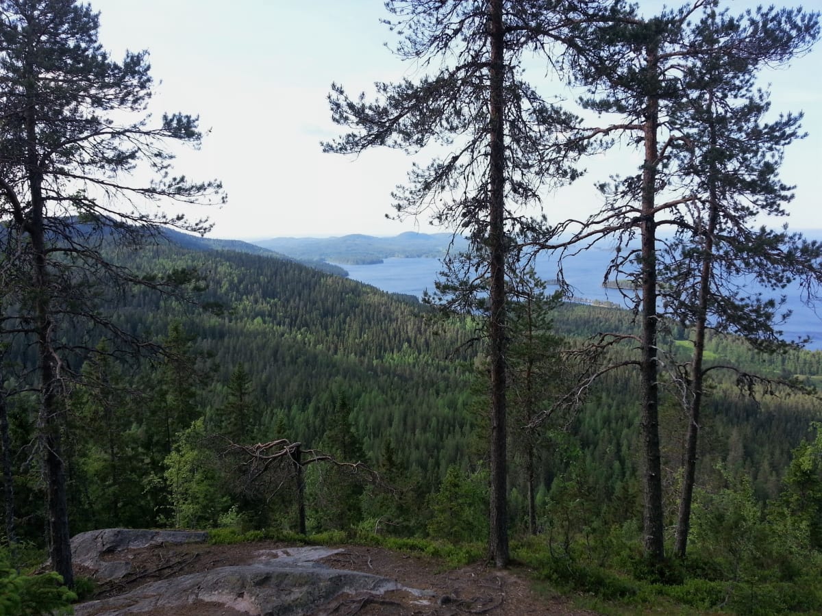 Finland's Lakes & Hills Adventure