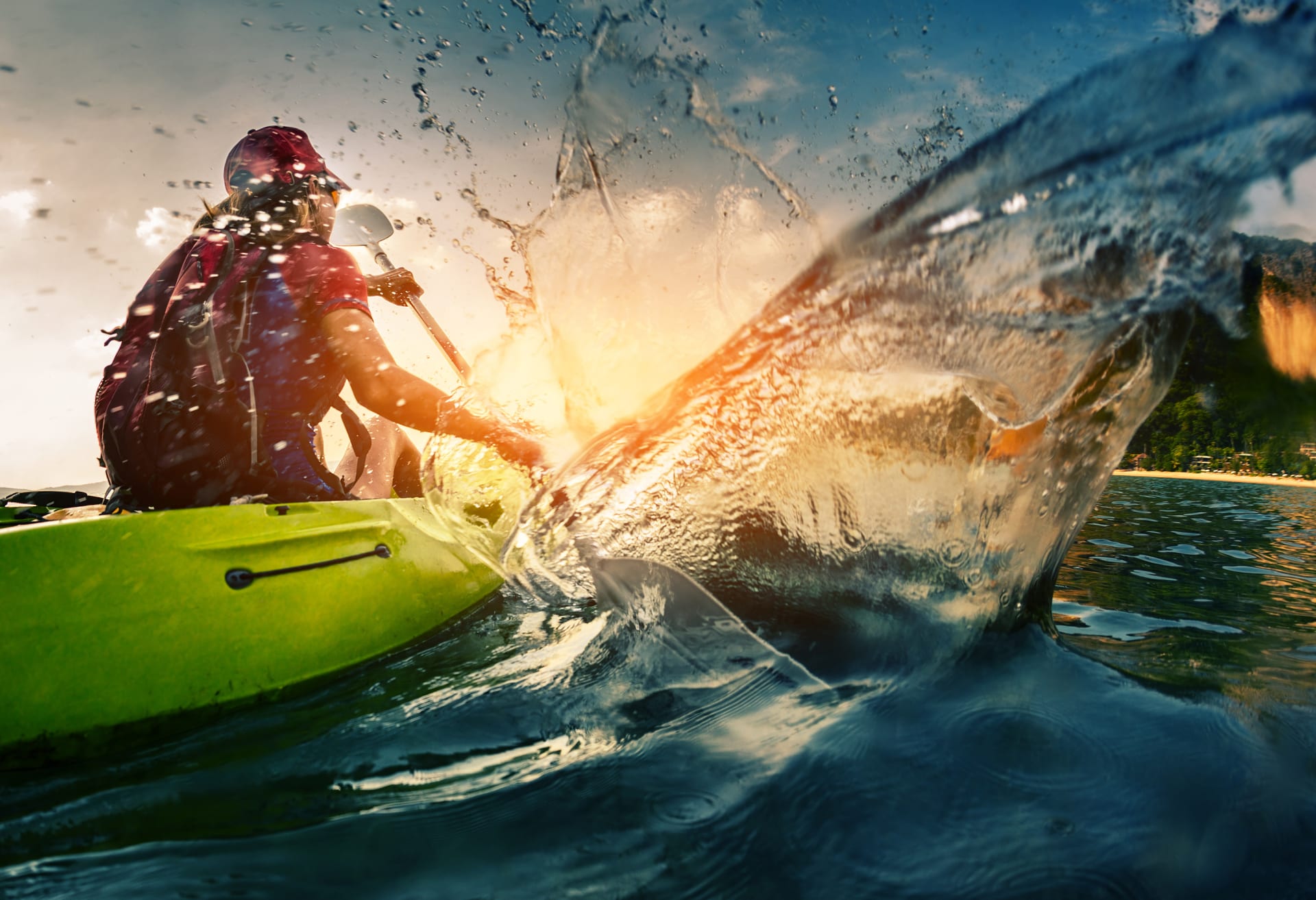 Kayak safari
