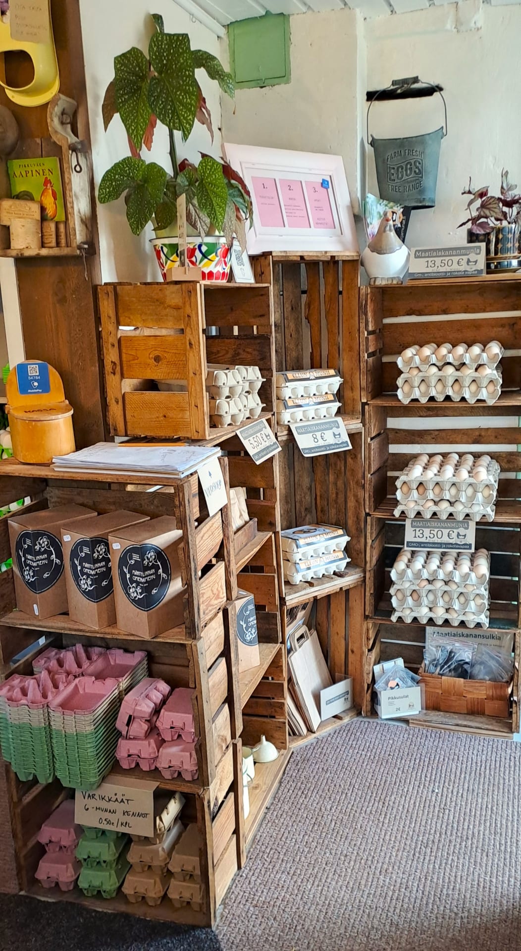 Hönsägg och färgglada äggkartonger.