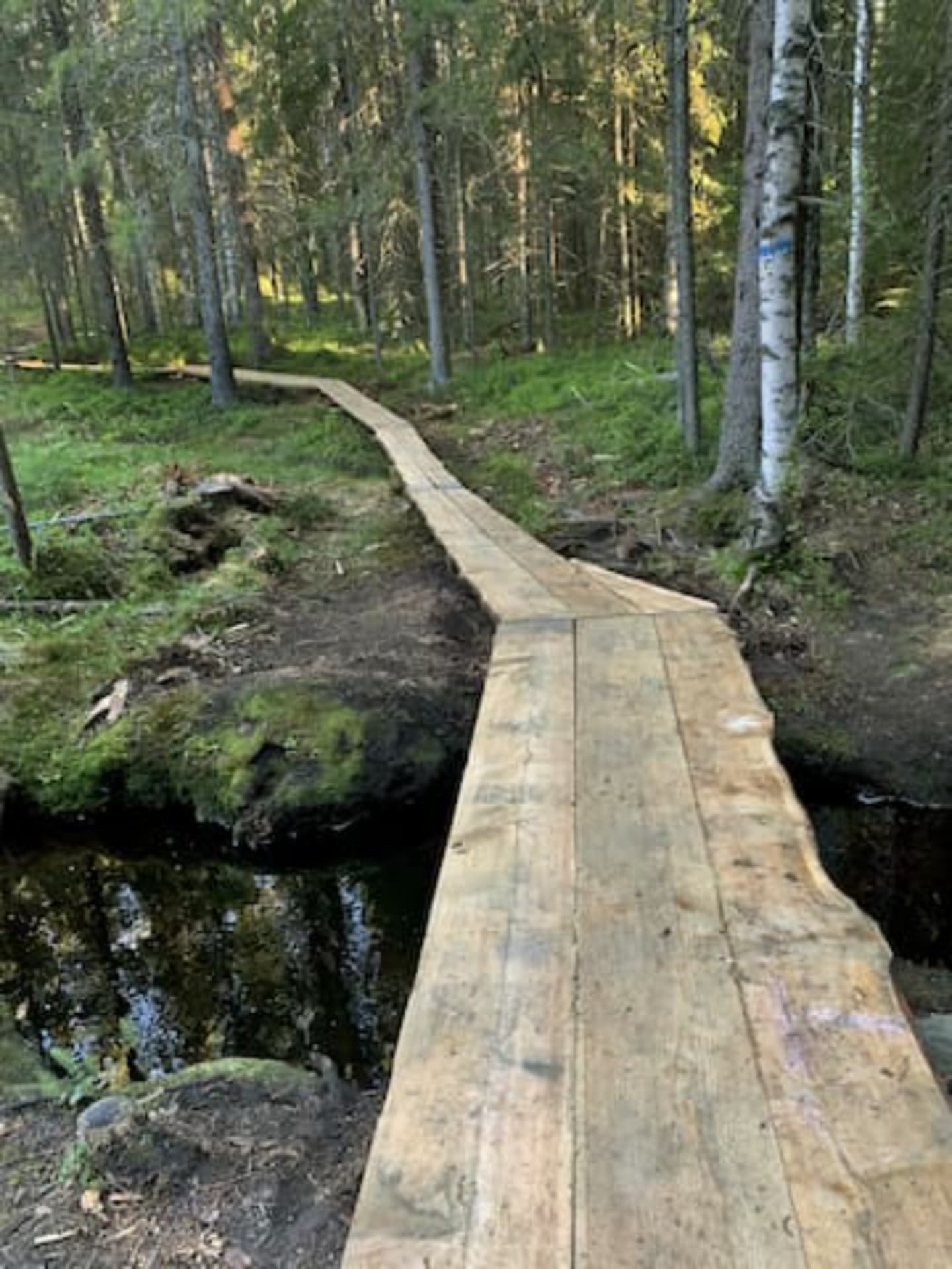 luontopolku