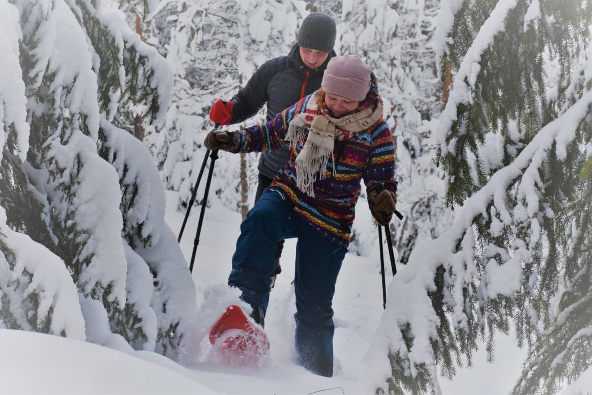 Winter Nature Trails at Salamajärvi Nationalpark