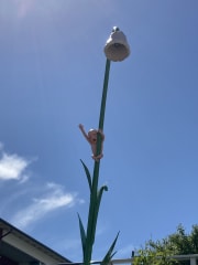 Kulttuurimatkailijan Porvoo