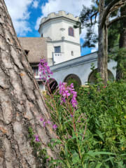 Gallen-Kallelan Museo