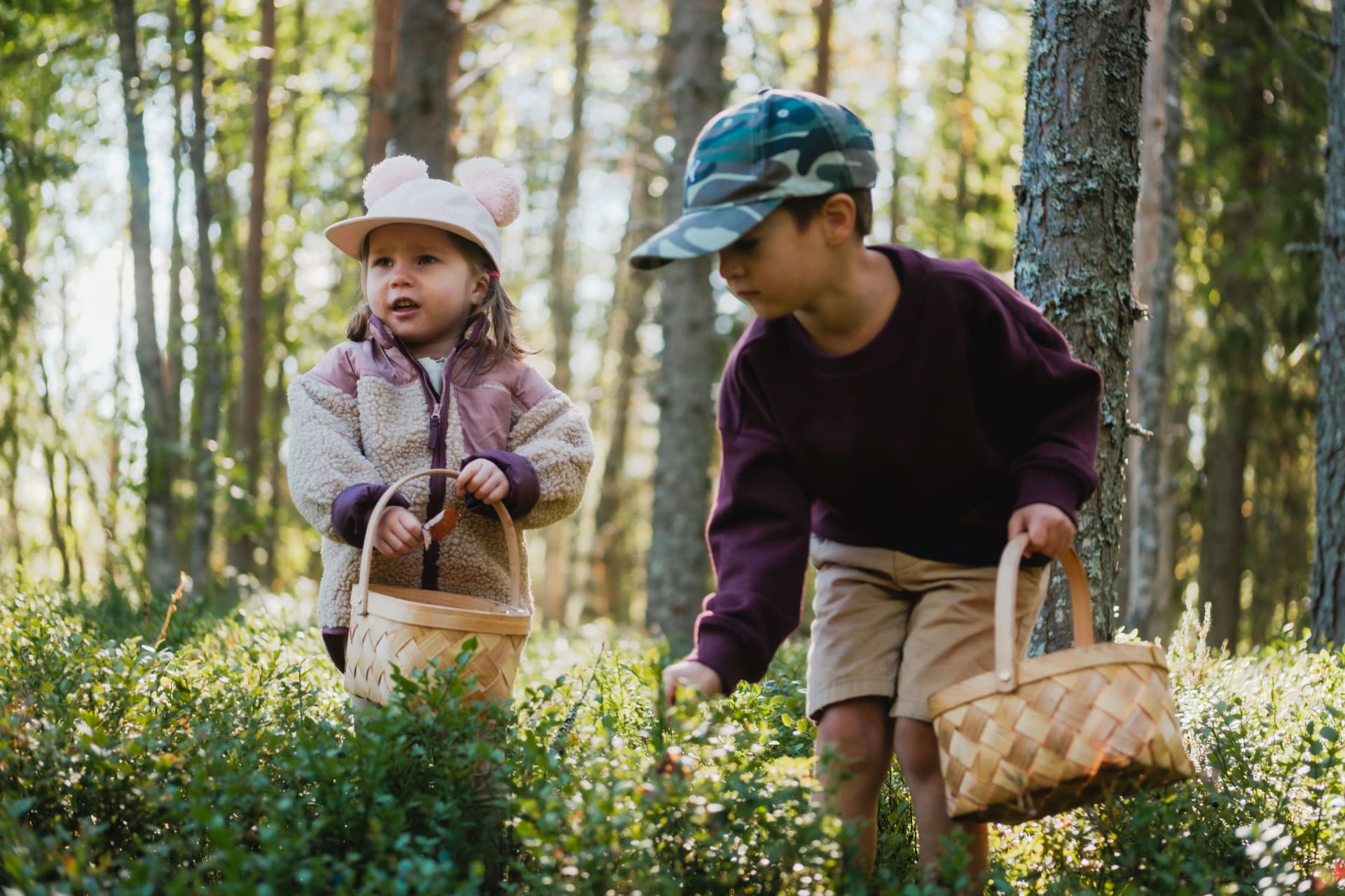 Children picking berries in the forest