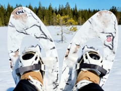 Go Arctic aktiviteetti - lumikenkäily Limingassa