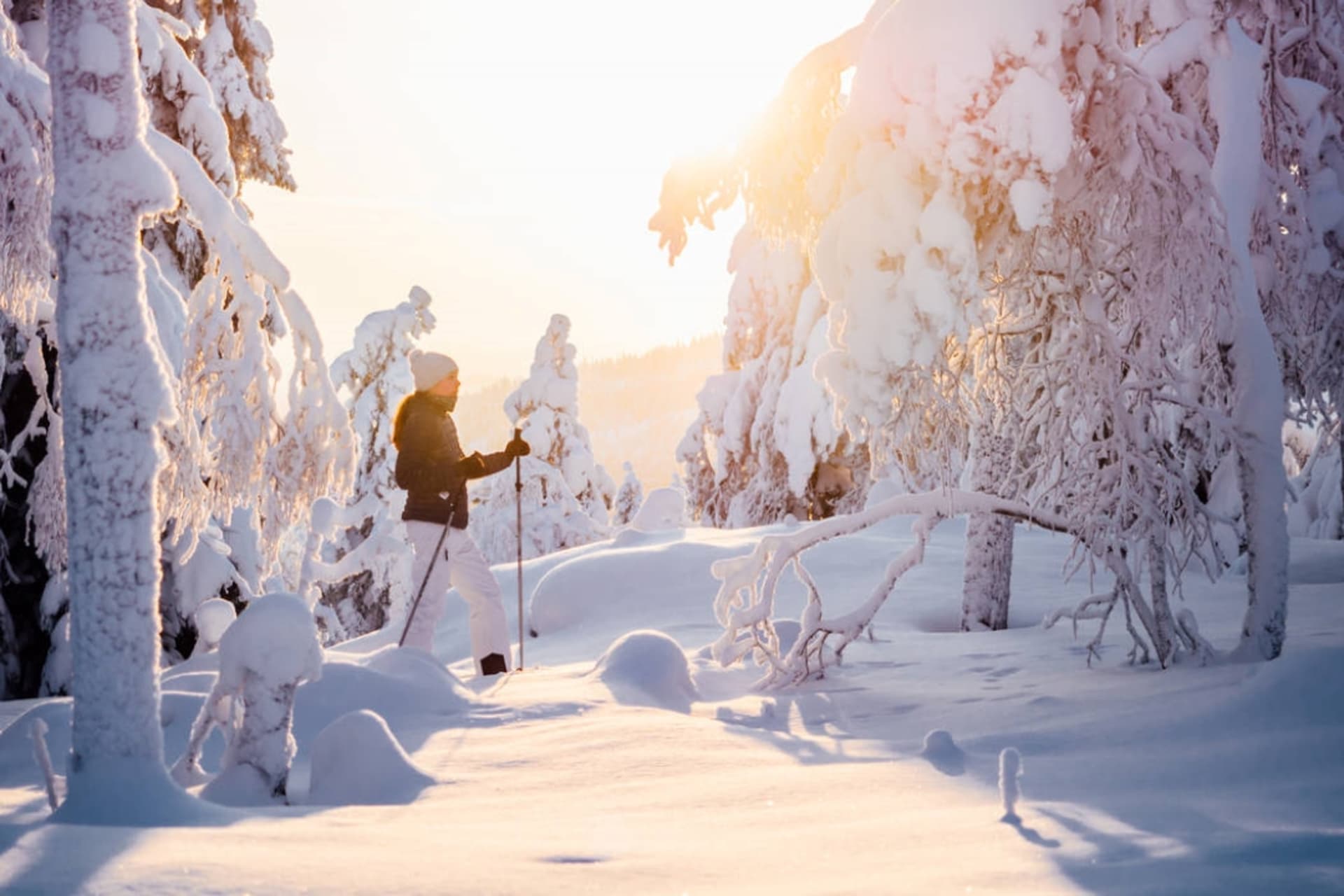 Forest Mind Trip in winter with snowshoes