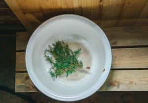 Tvättfat
