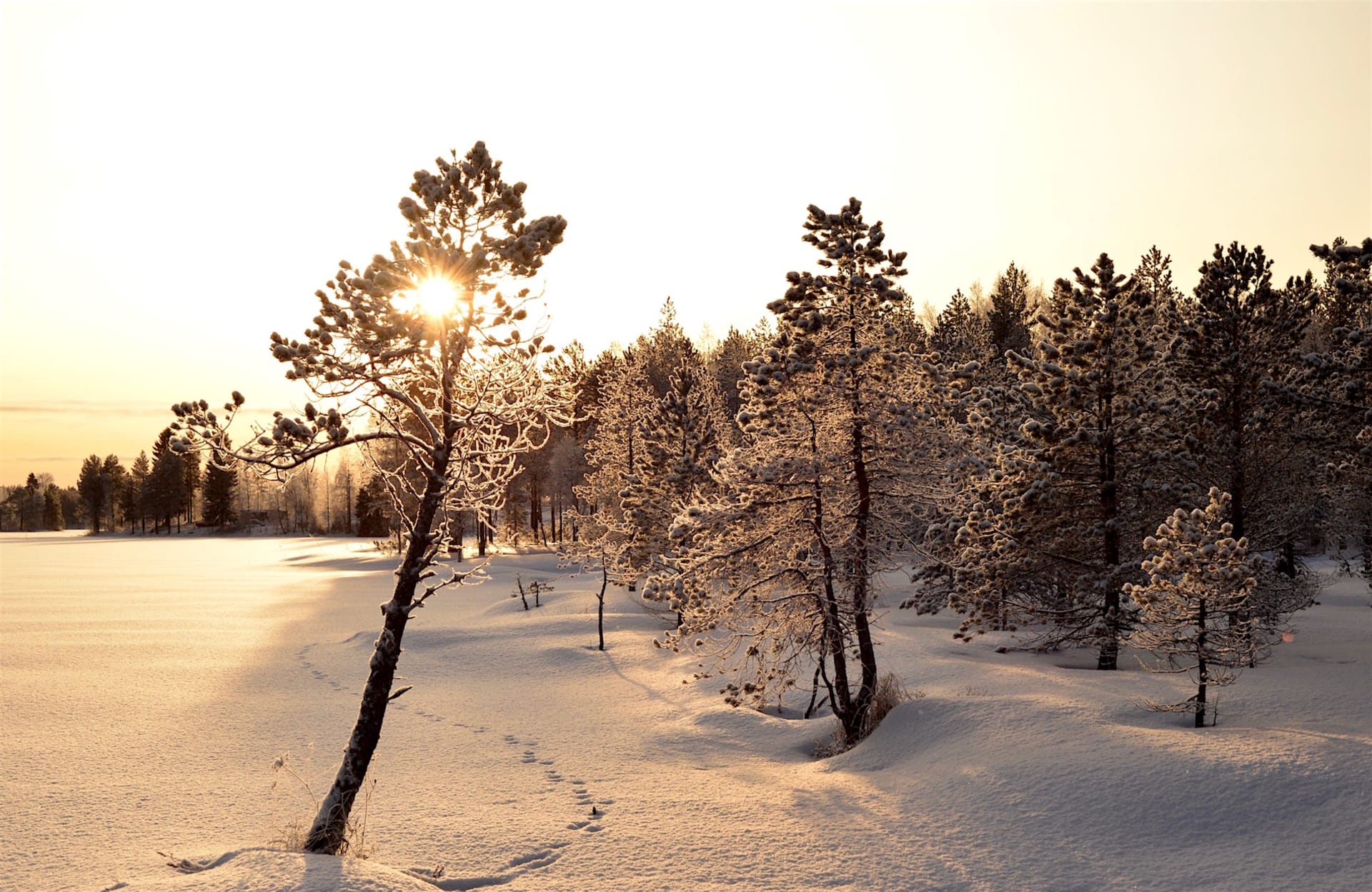 Find Your Inner Finn Winter Week, 7 nights package - Kuhmo