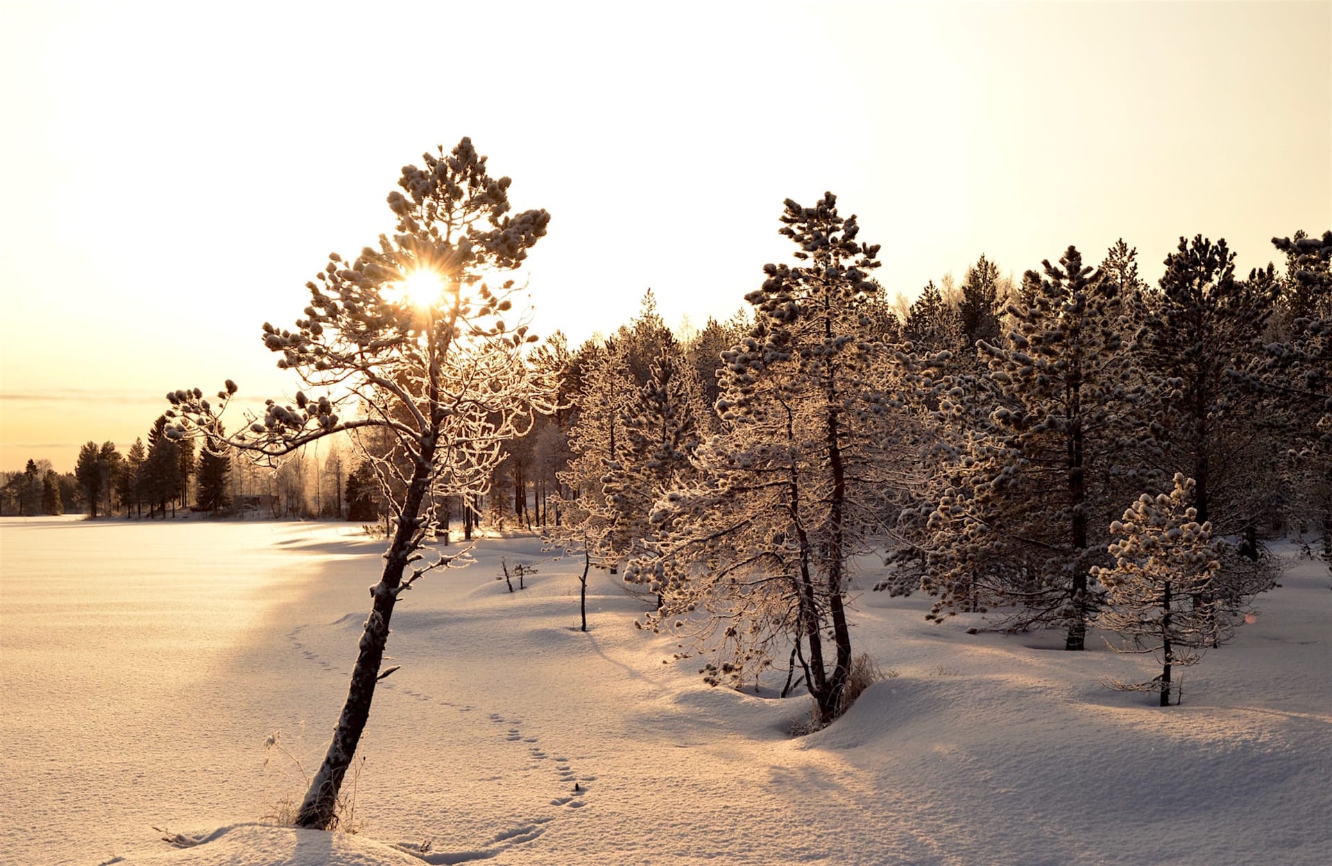 Snow-white winter landscape in Lentiira.