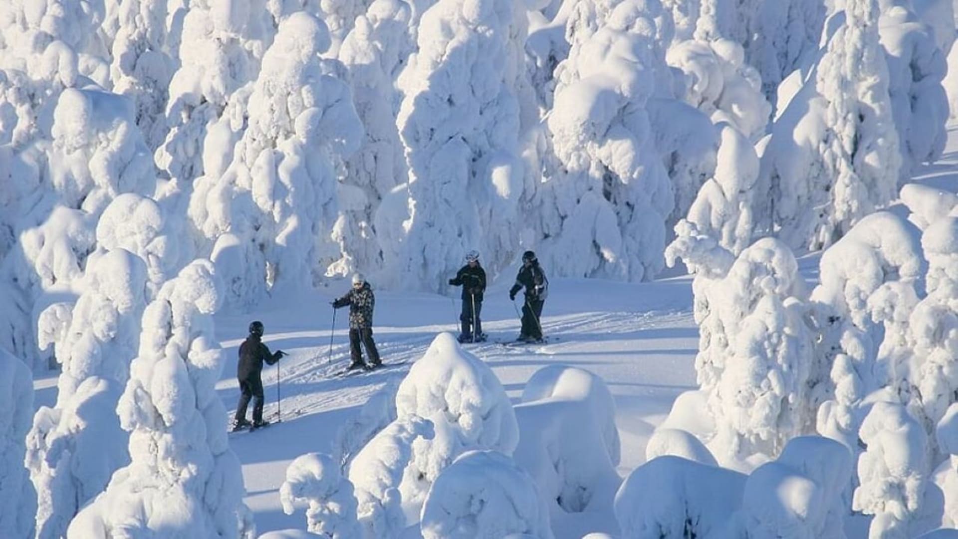 Lapland Wellness and Relaxation Day