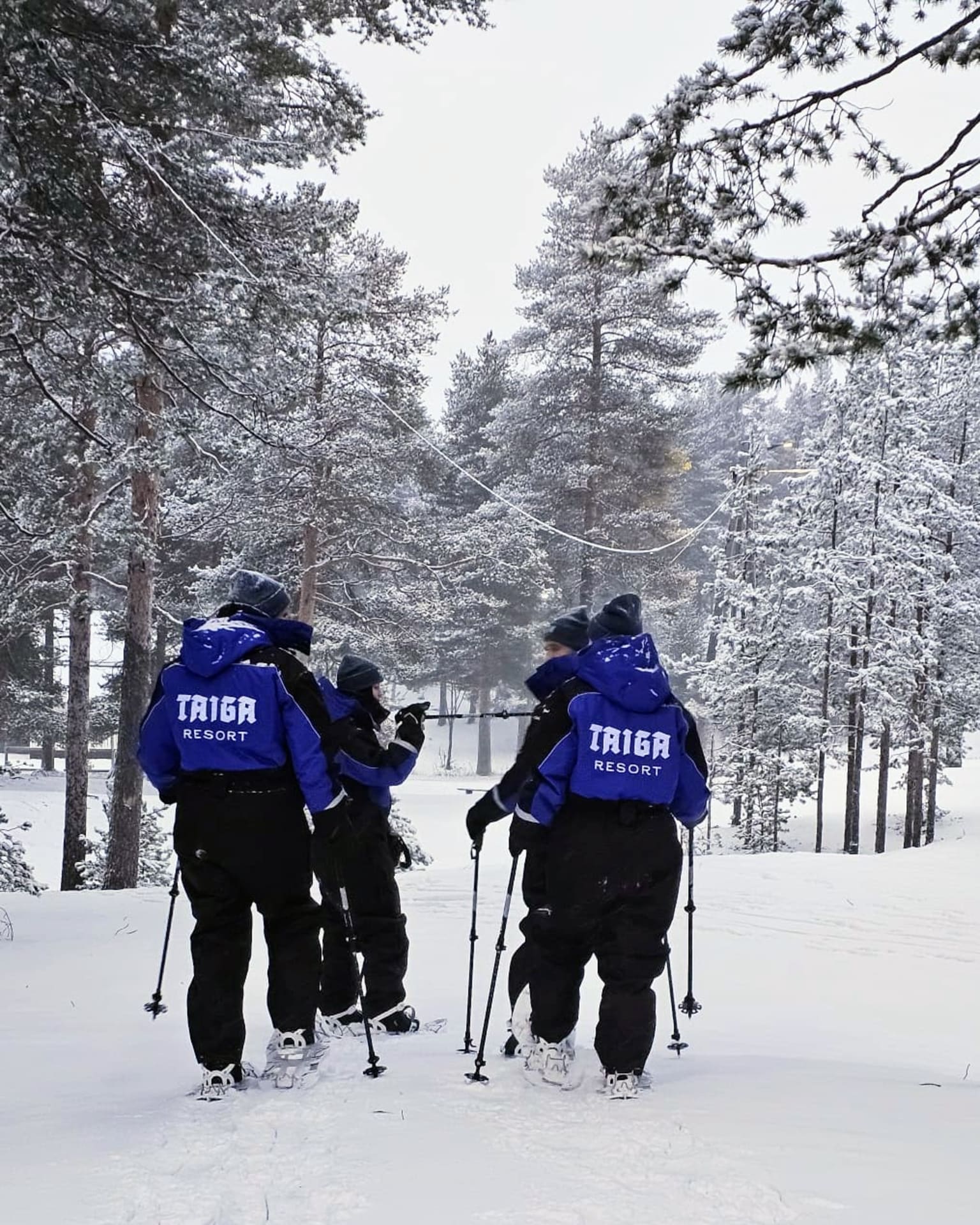 Snow shoeing in the forest