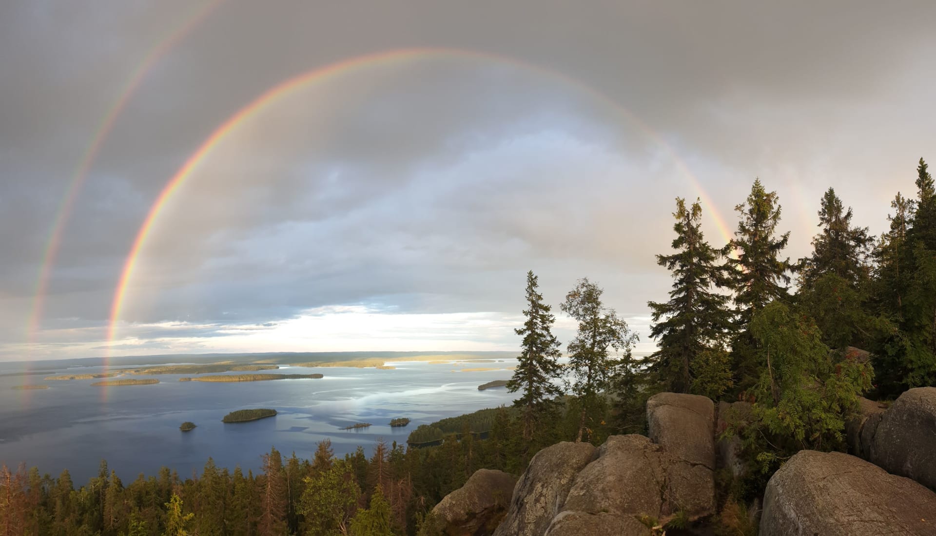 Kolin kansallispuisto