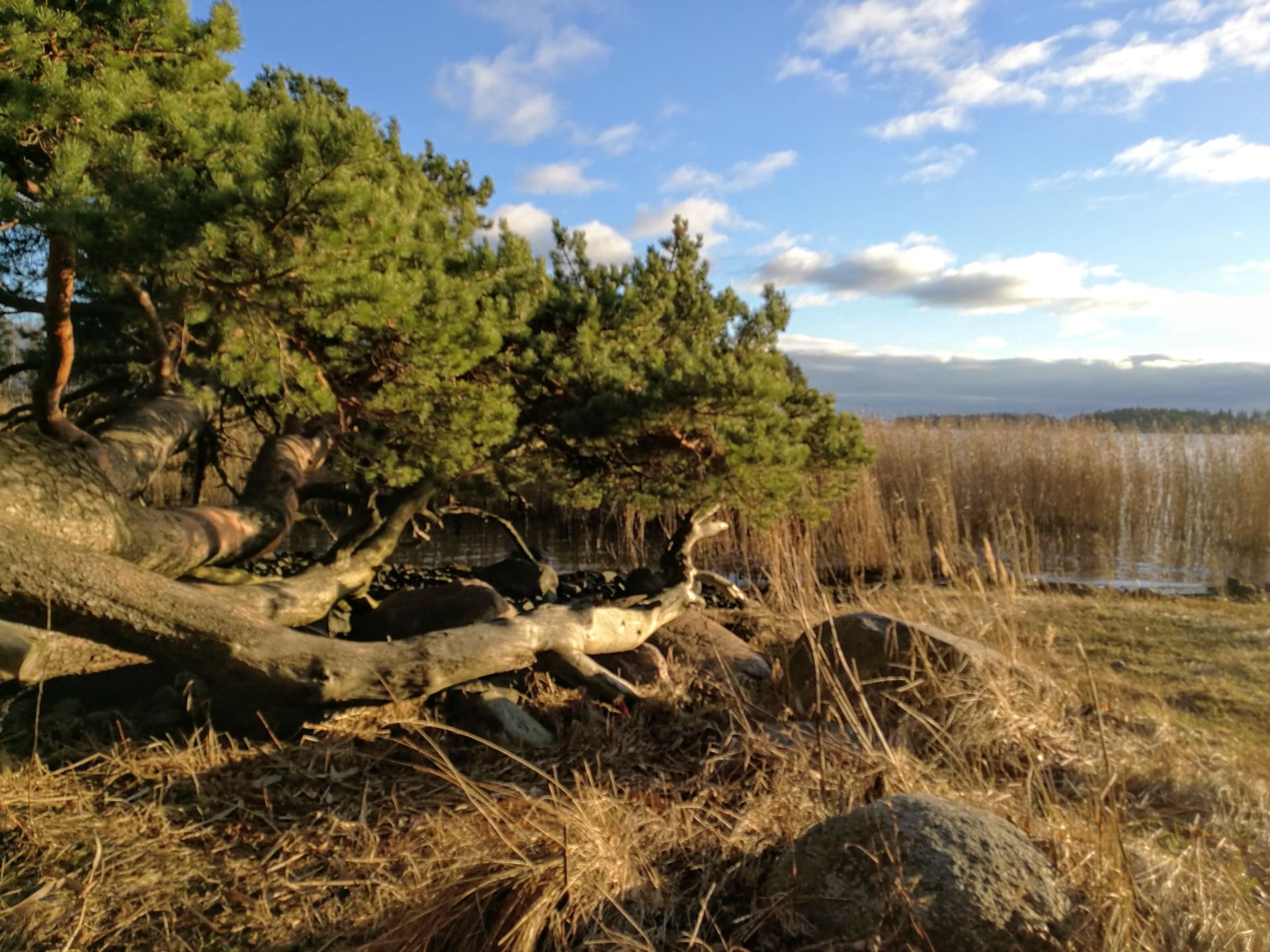 The view from Karhusaari near by Hotel Hanasaari