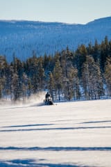 Arctic Endurance eSled Safari