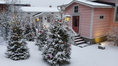Sparvinin talo ja Kuparisepän talo joulun aikaan