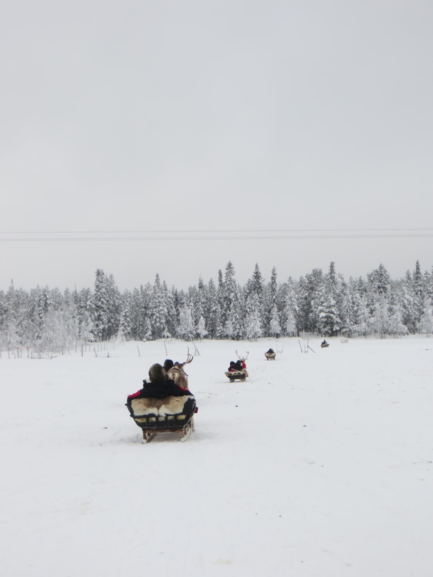 Ounaskievari's 3km Traditional Reindeer Trip Ride to the Hut