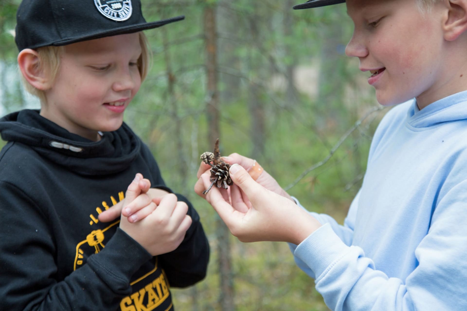Kaksi lasta tutkii kädessä olevaa käpylehmää. Taustalla kesäistä metsää Leivonmäen kansallispuistossa. Kuva: Sannamari Ratilainen