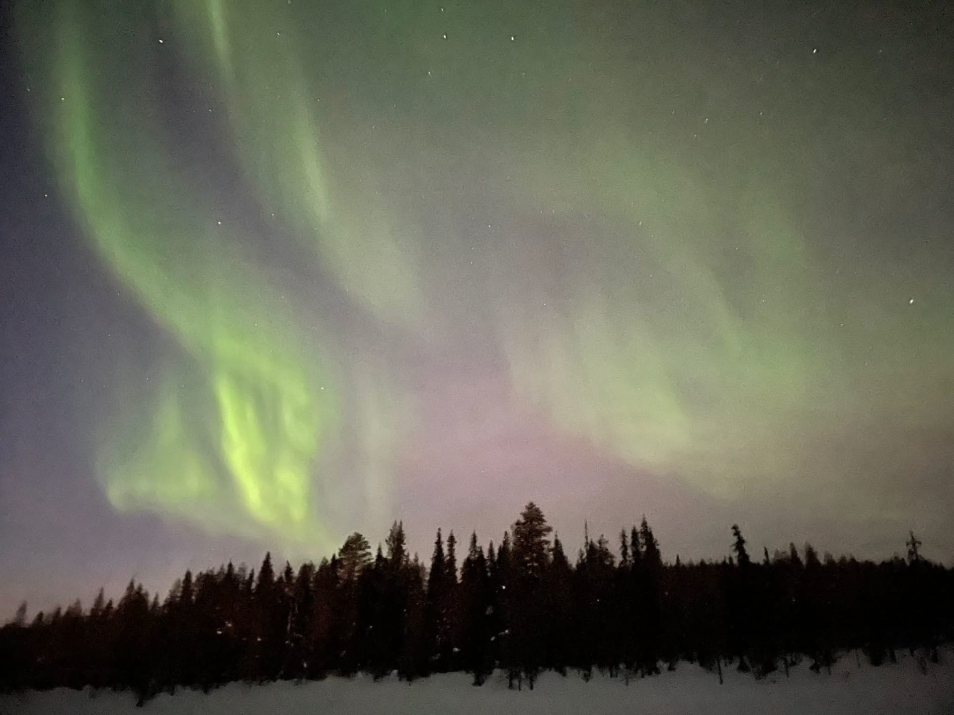 Revontulten etsintään kelkoilla Ylläksellä paikallisen perheyrityksen Kylmämaan kanssa