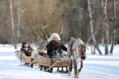 Reindeer sleigh ride in Nallikari Winter Village.