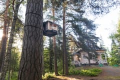Kalliolinna miniature birdhouse on a tree in front of original Kalliolinna building