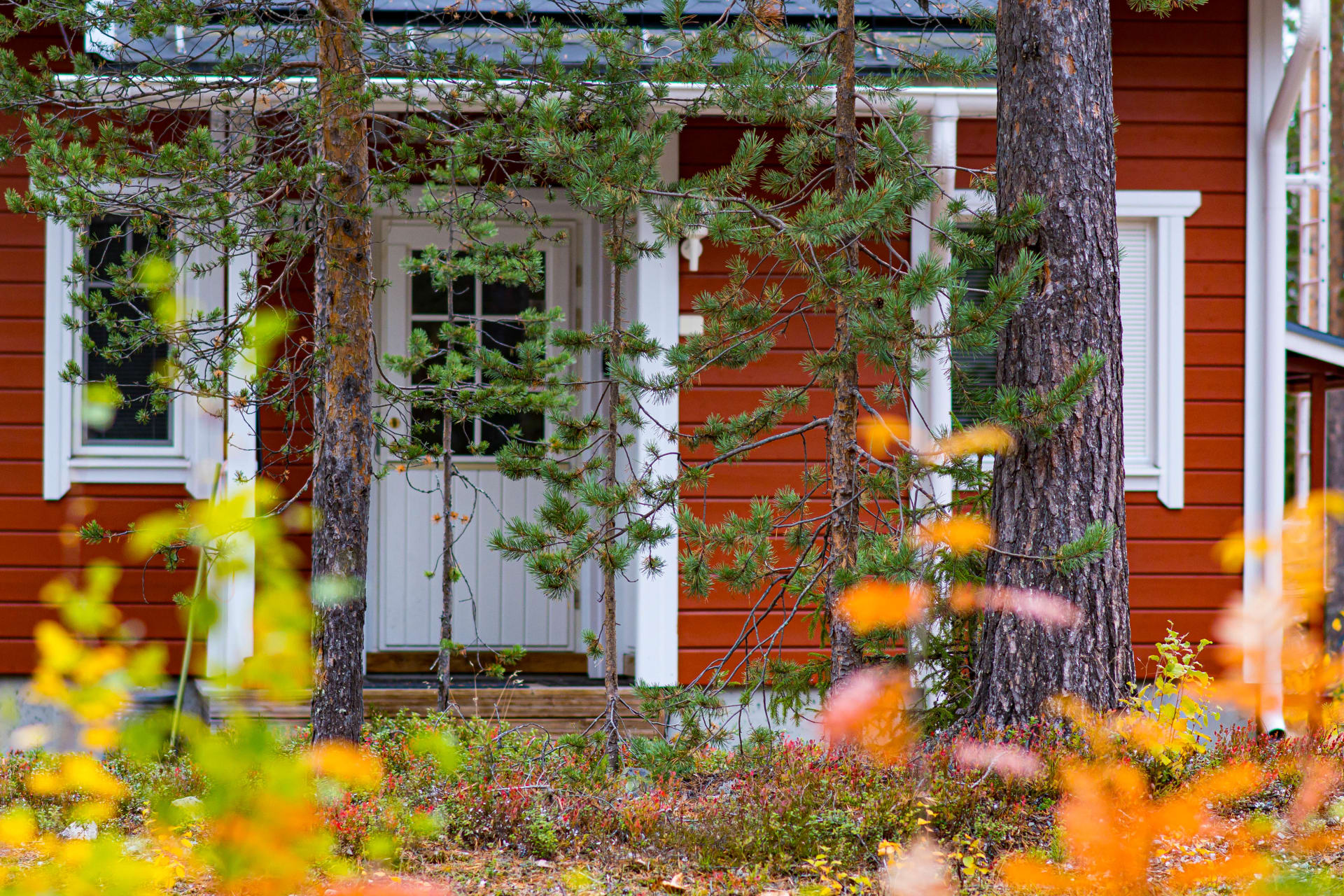 Entrance door, Automn