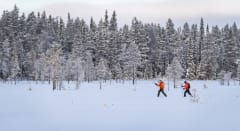 Snowshoeing Holiday in South Lapland - Snowshoeing Day Trips