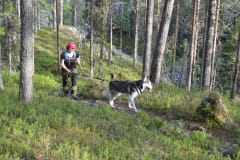 Three National Parks Summer Adventure in South Lapland - Husky Hiking