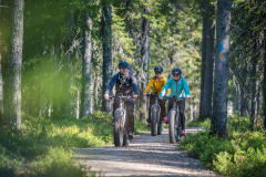 Three National Parks Summer Adventure in South Lapland - mountain biking