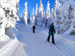 South Lapland Winter Experience - Cross country skiing day trip