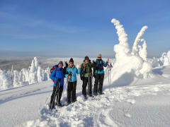 South Lapland Winter Experience - Snowsoeing in Riisitunturi