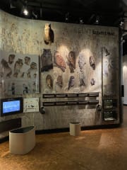 The Eight Seasons of Birds' Year exhibition