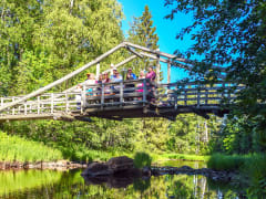 Temmeksen kaunis jokivarsi ja perinnesilta