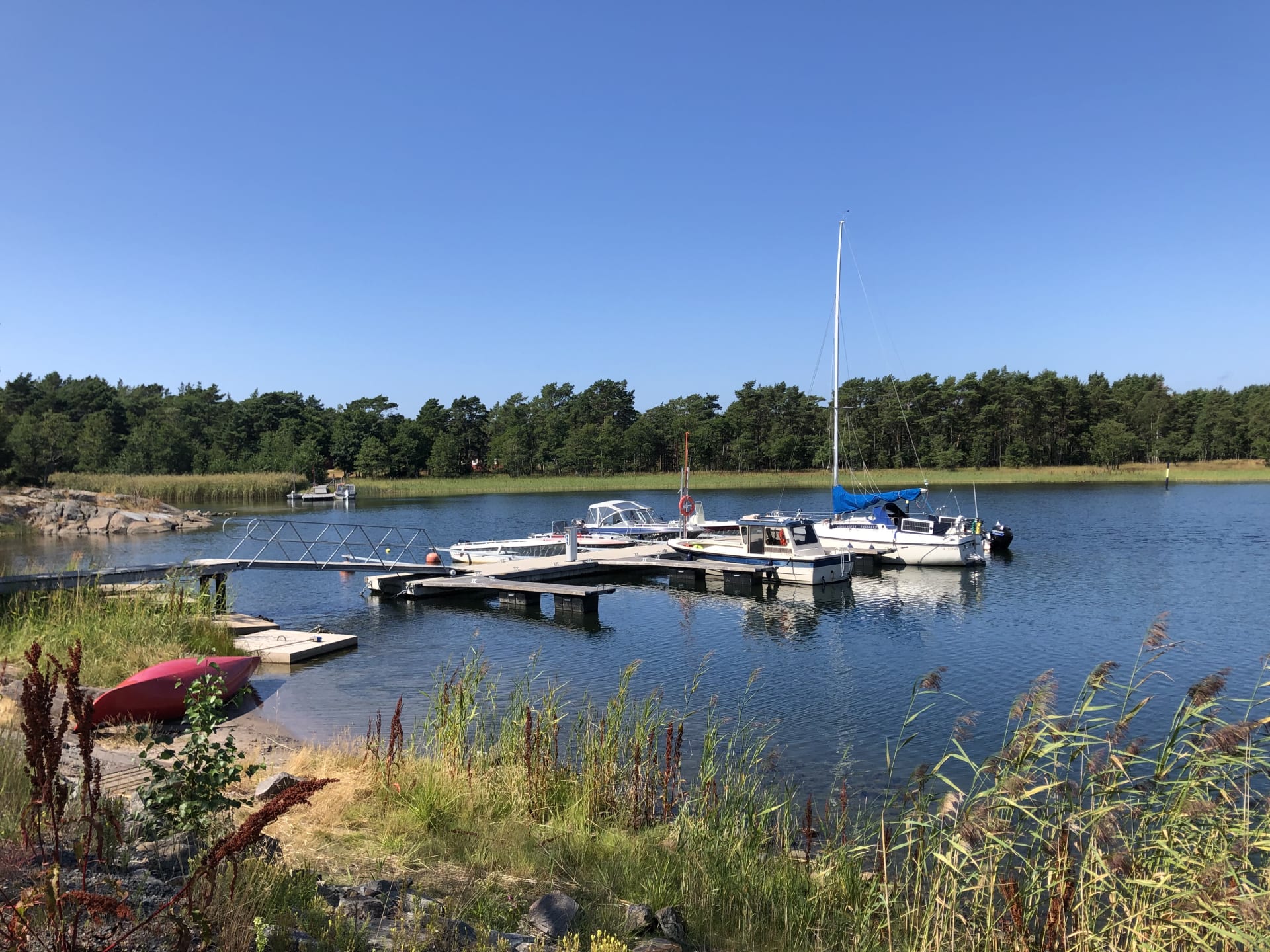 Archipelago Island Safari Archipelago Island Safari