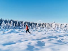 Pure white snow in the National Park