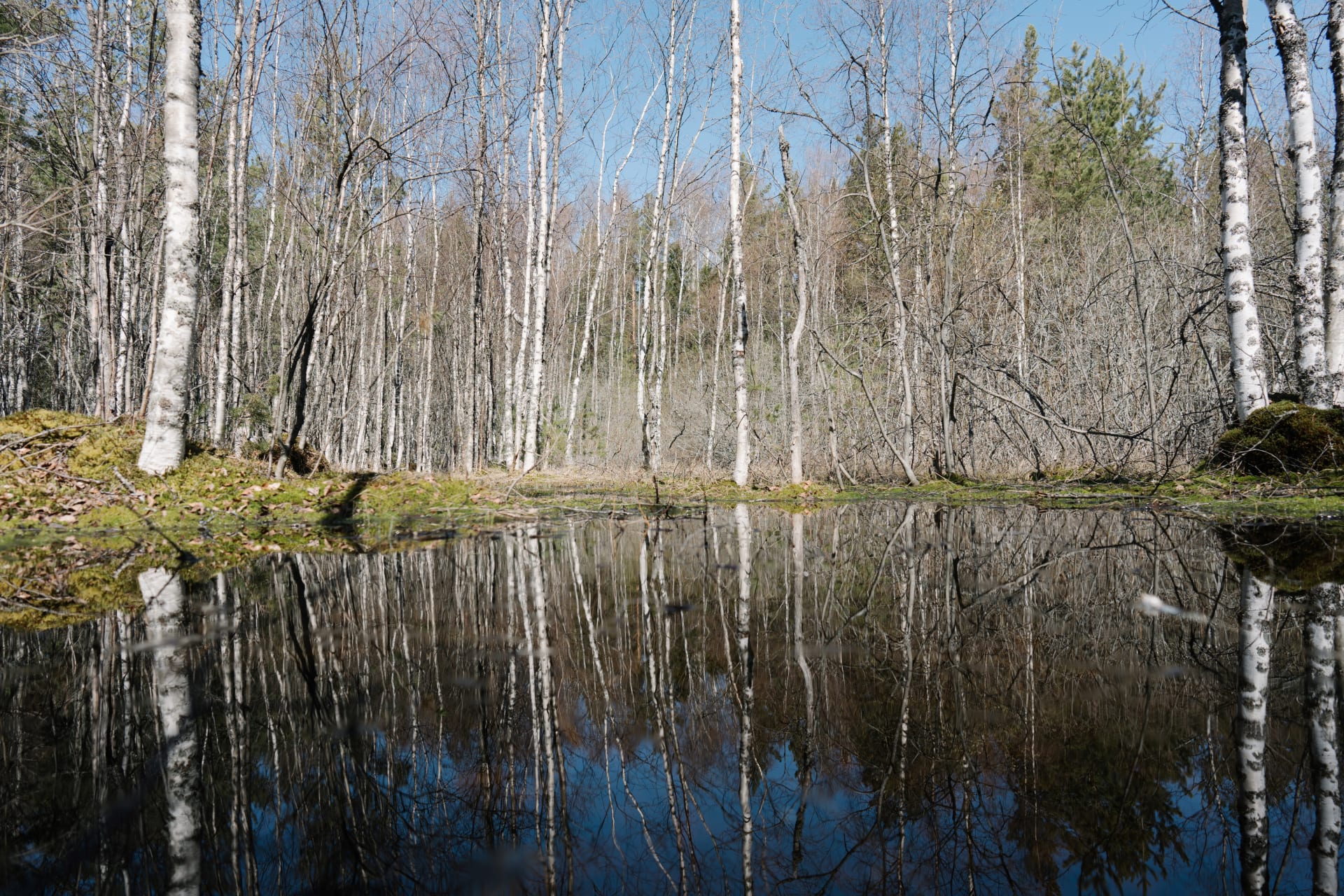 Nature
