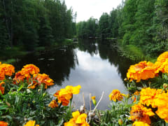 The tour has beautiful views from the bridges