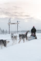 A team of huskies pulls a sled through deep snow at Jänkä Ranch, with guests riding behind and a wooden Jänkä sign visible in the winter landscape.