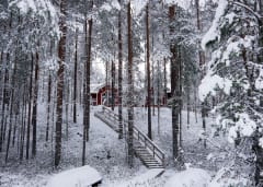 SuomenSatu lomamökit / Koli