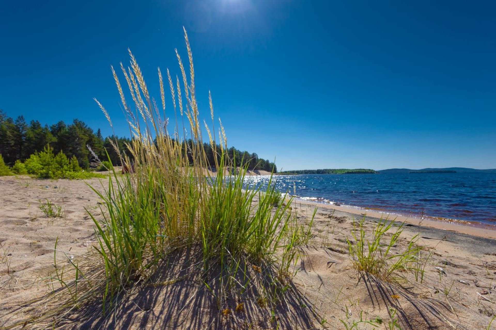 Kalkonniemi beach